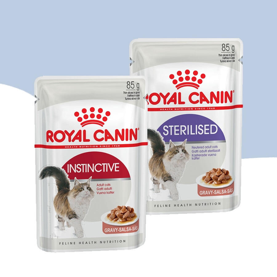 ROYAL CANIN Comida húmeda para gatos