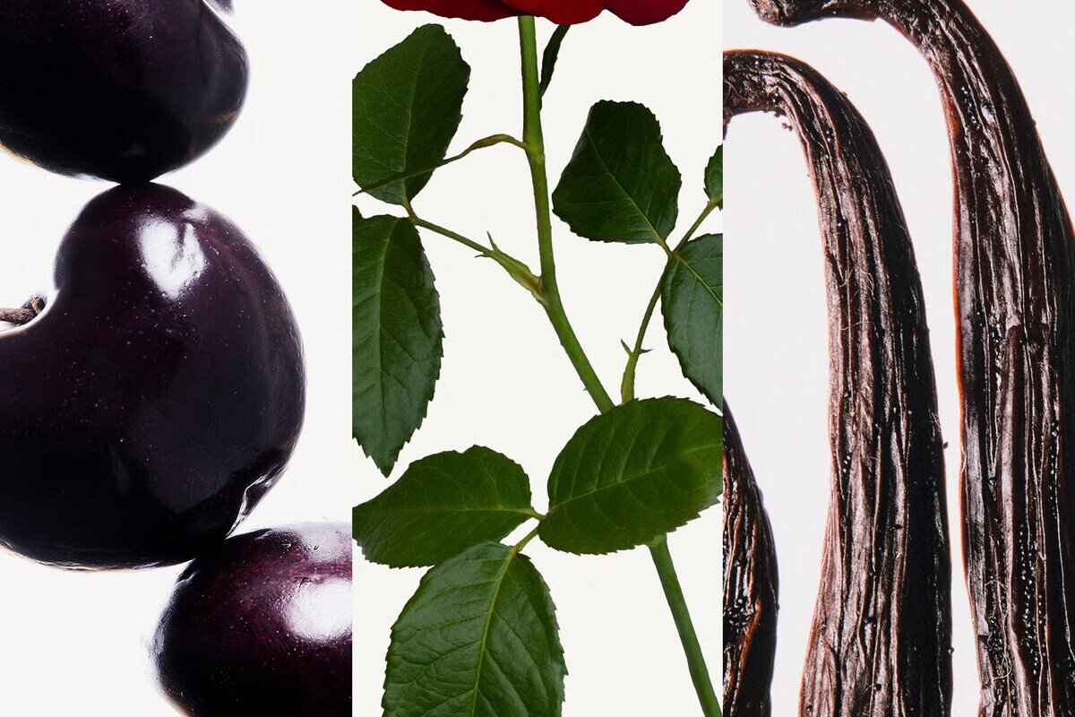 O perfume icónico com notas de cereja e baunilha: Good Girl by Carolina Herrera