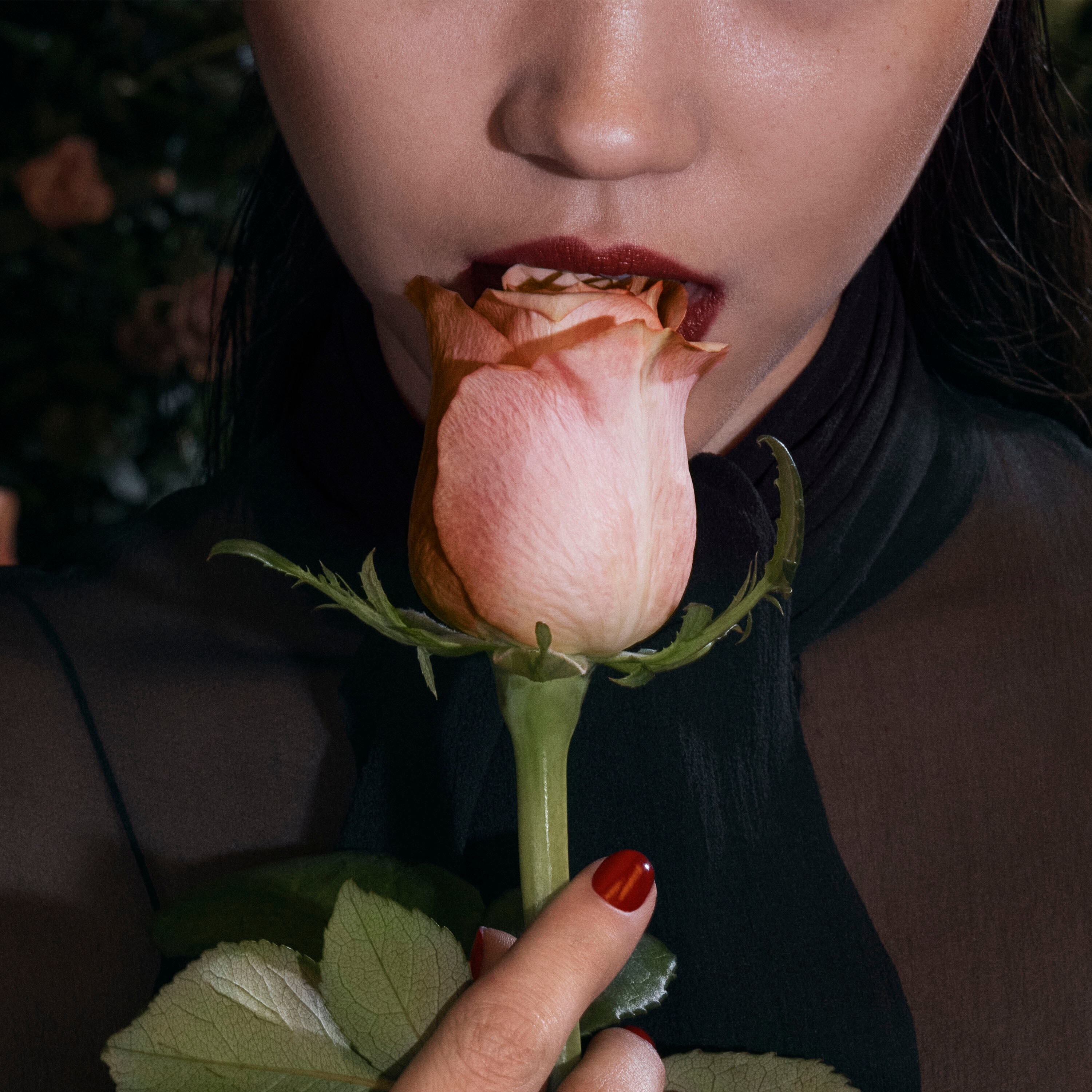 YSL