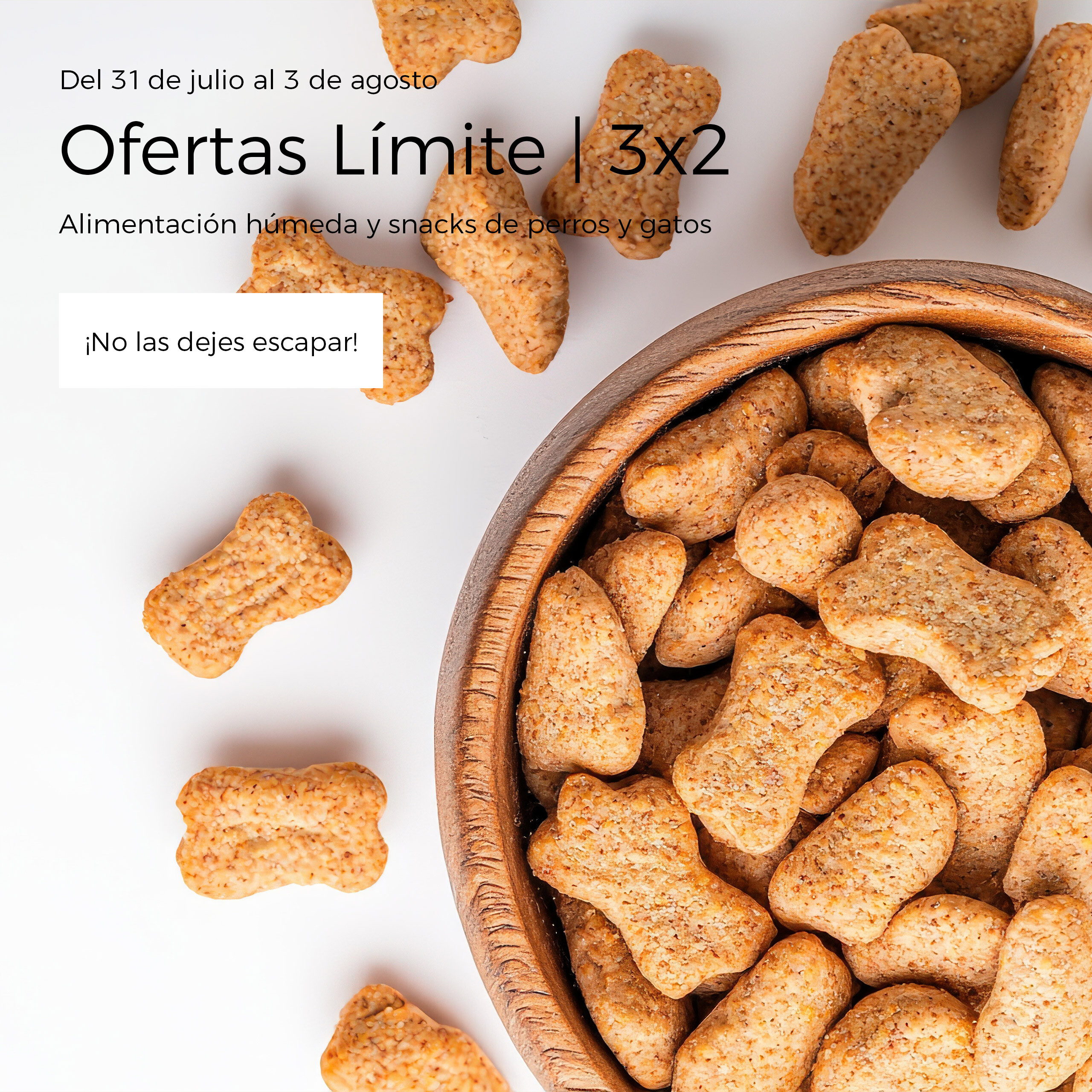alimentación húmeda y los snacks de perros y gatos