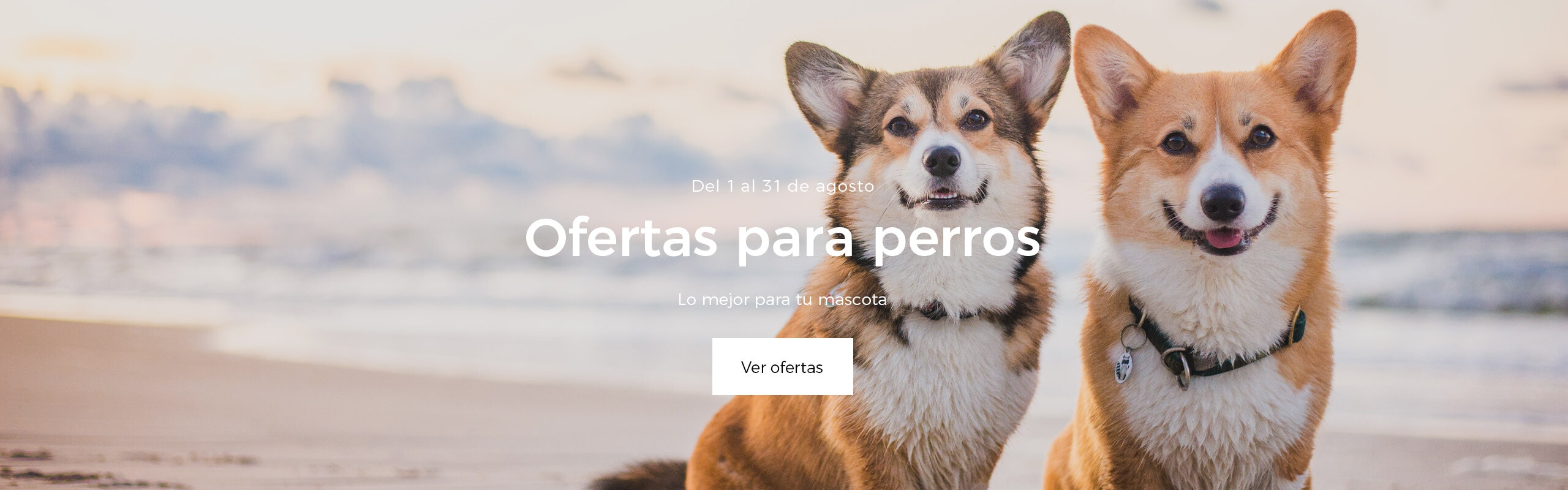 OFERTAS en alimentación y accesorios para TU PERRO