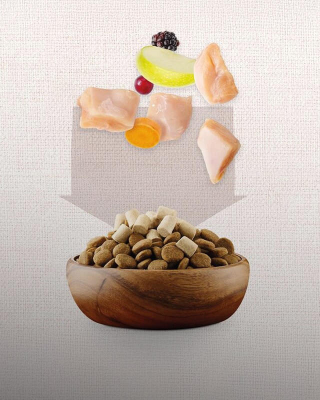 Alimentacion liofilizada