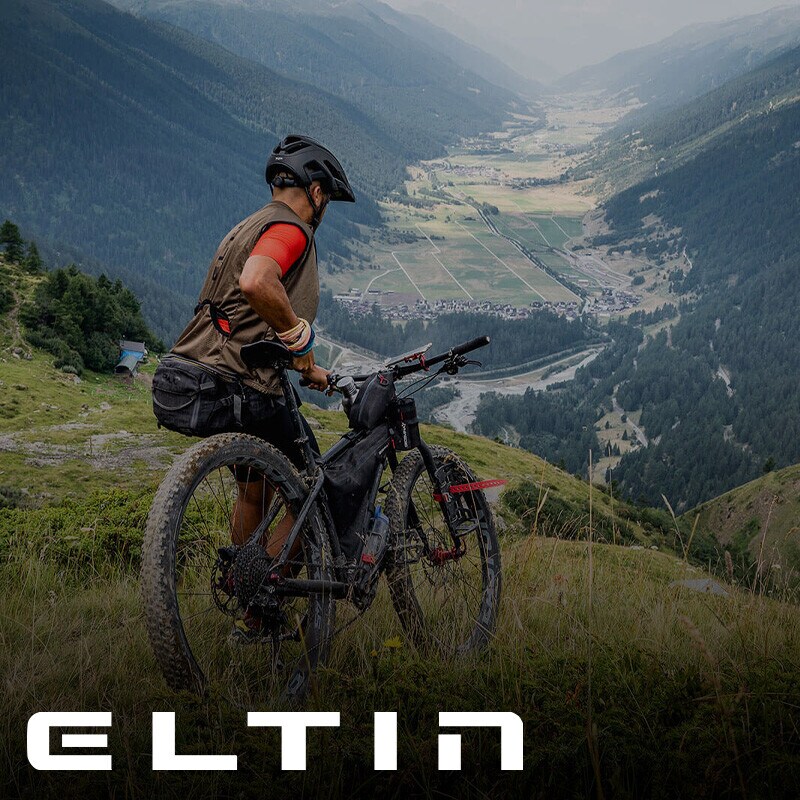 Eltin