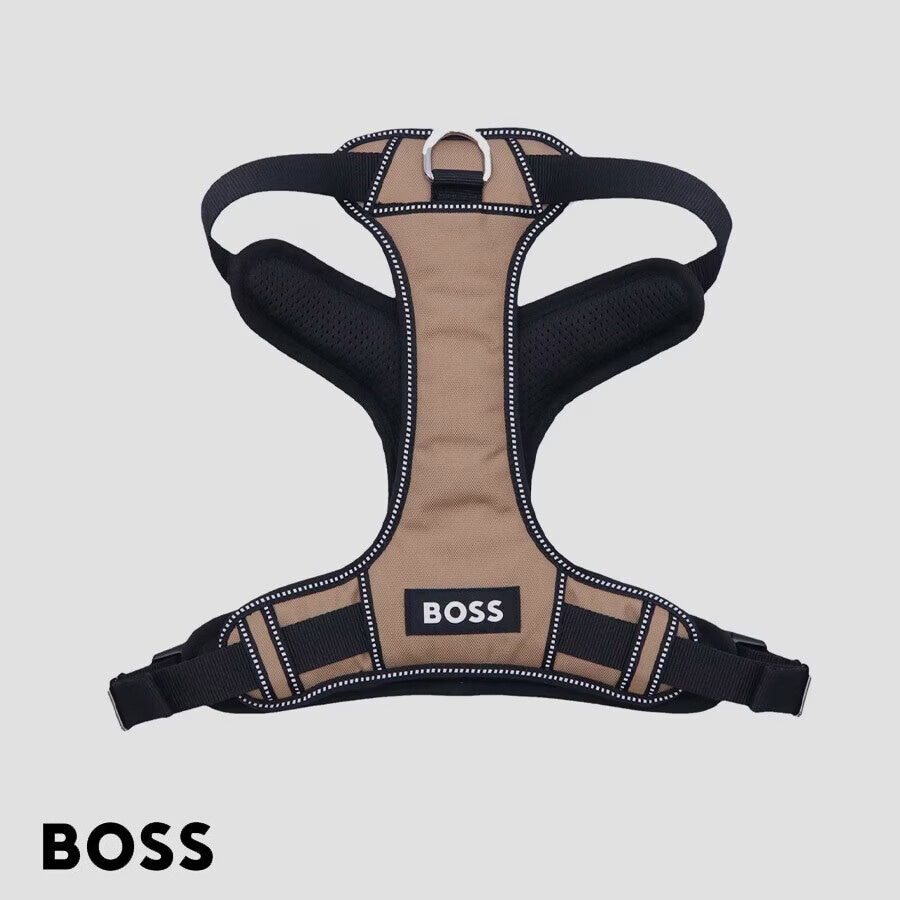 Mascotas · Hugo Boss