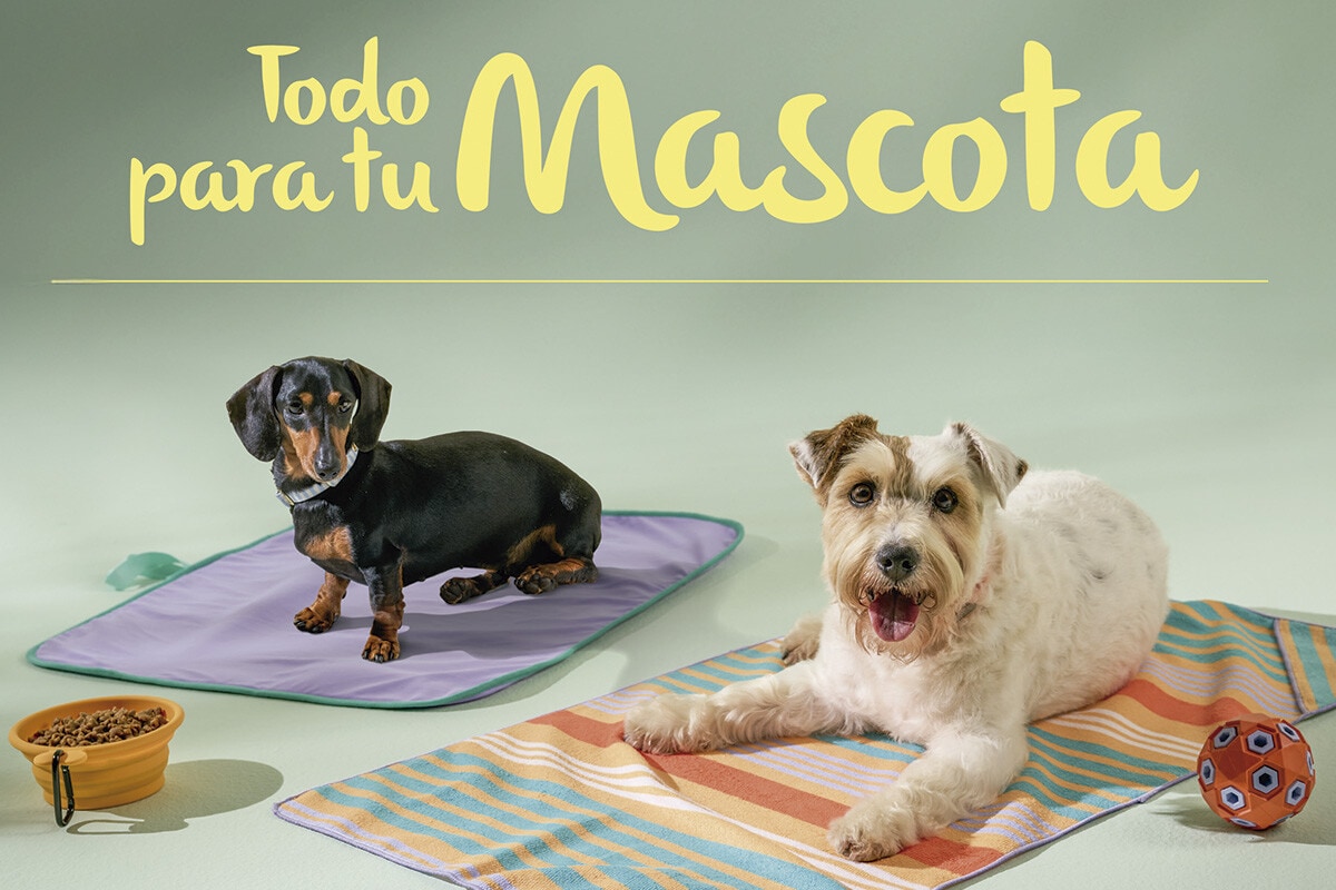 Catálogo digital de mascotas