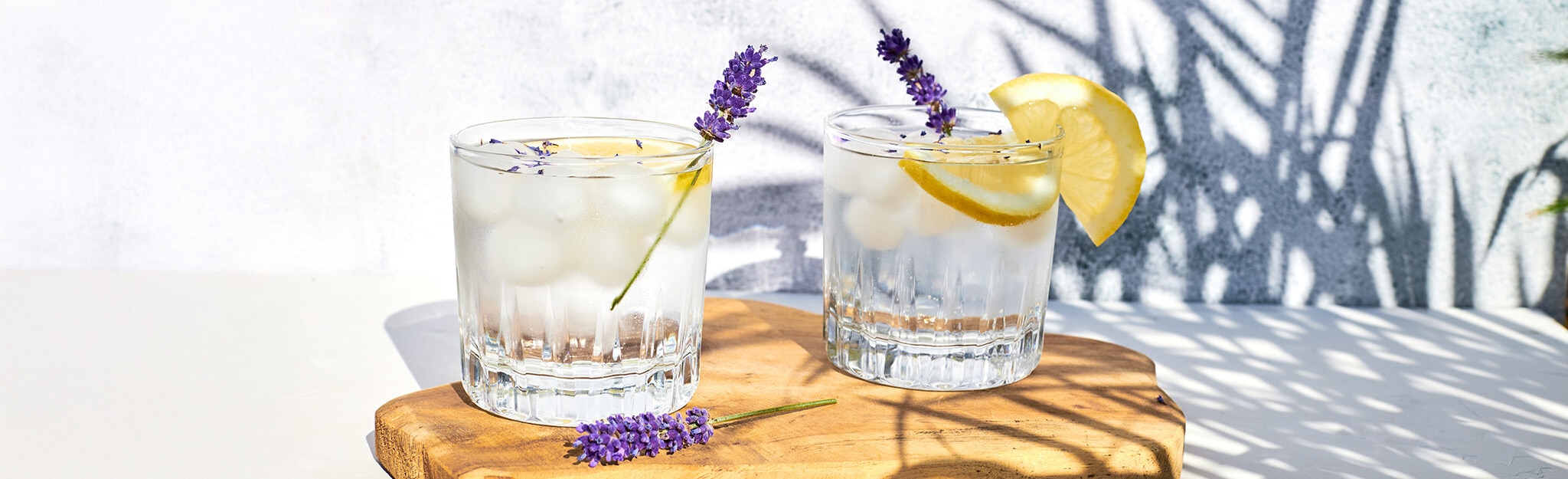 Bebidas Refrescantes
