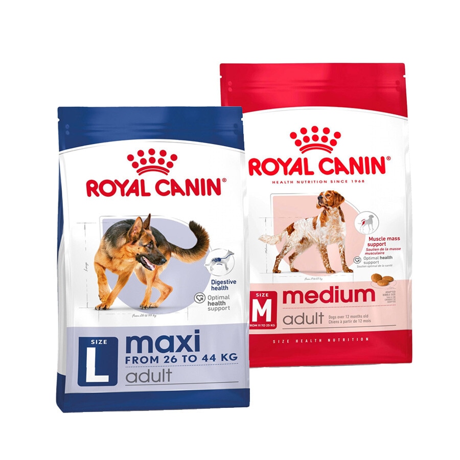 ROYAL CANIN Pienso para perros