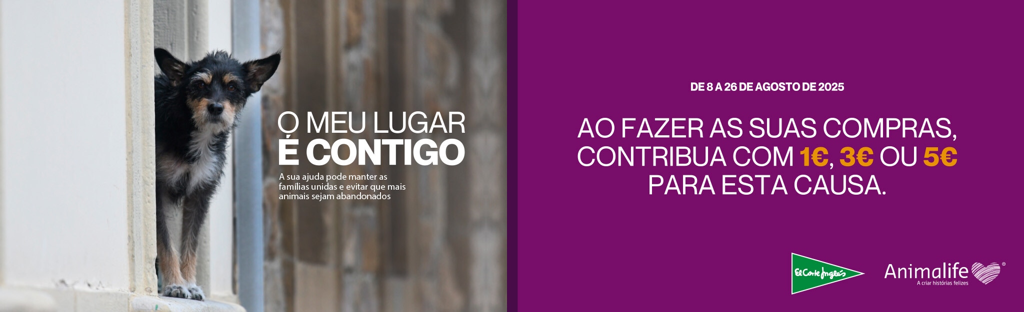 Campanha Animalife - 08 a 26 de agosto