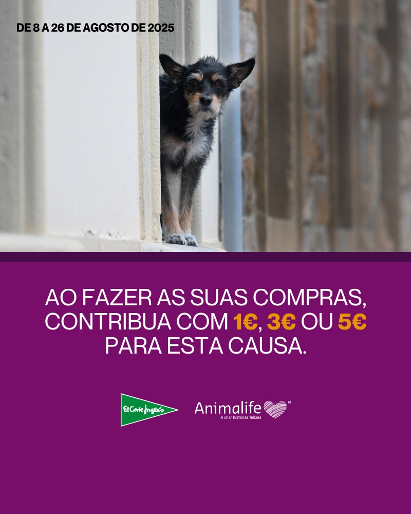 Campanha Animalife - 08 a 26 de agosto