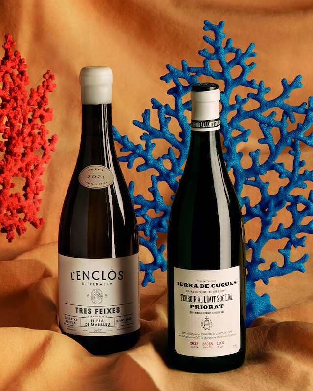 Vinos de verano