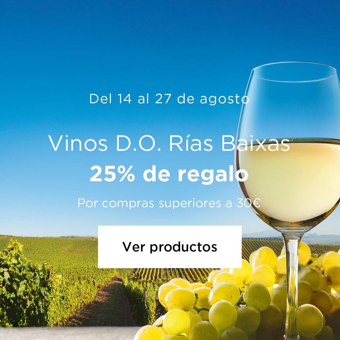 Vinos D.O. Rías Baixas | 25% de regalo