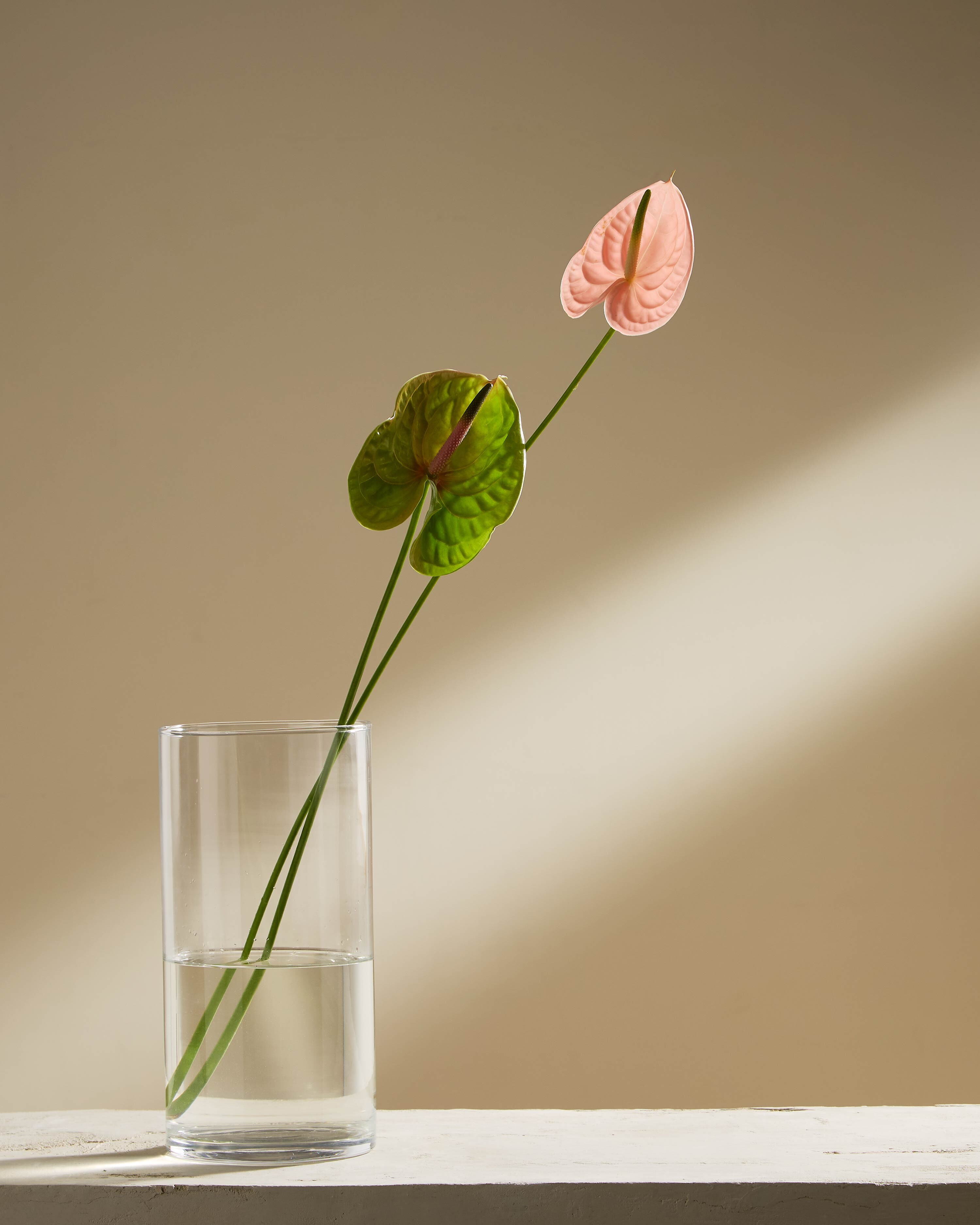 Florero Cilinder
