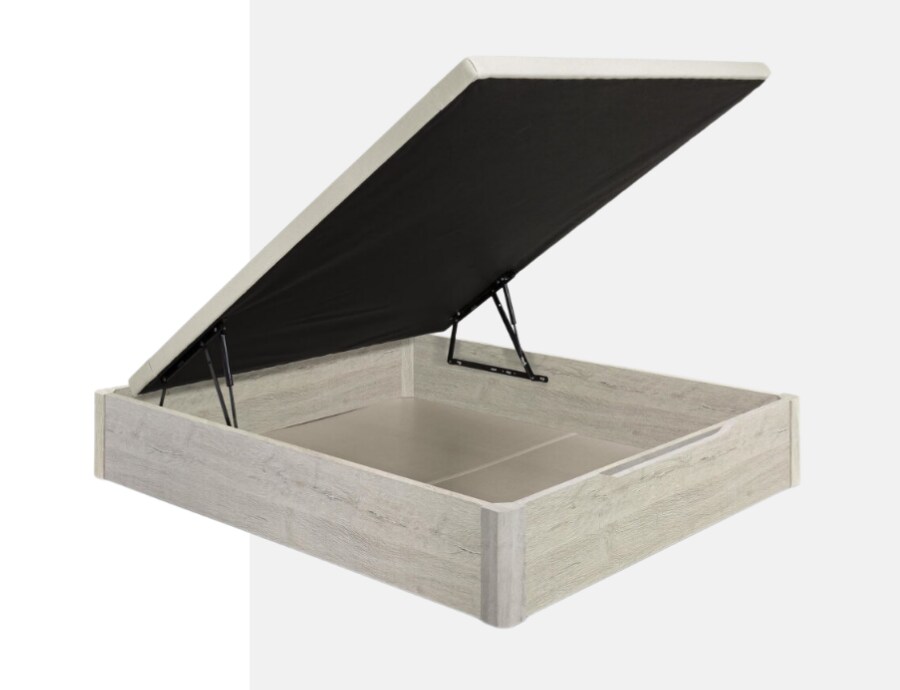 MAGISTER · CANAPÉS