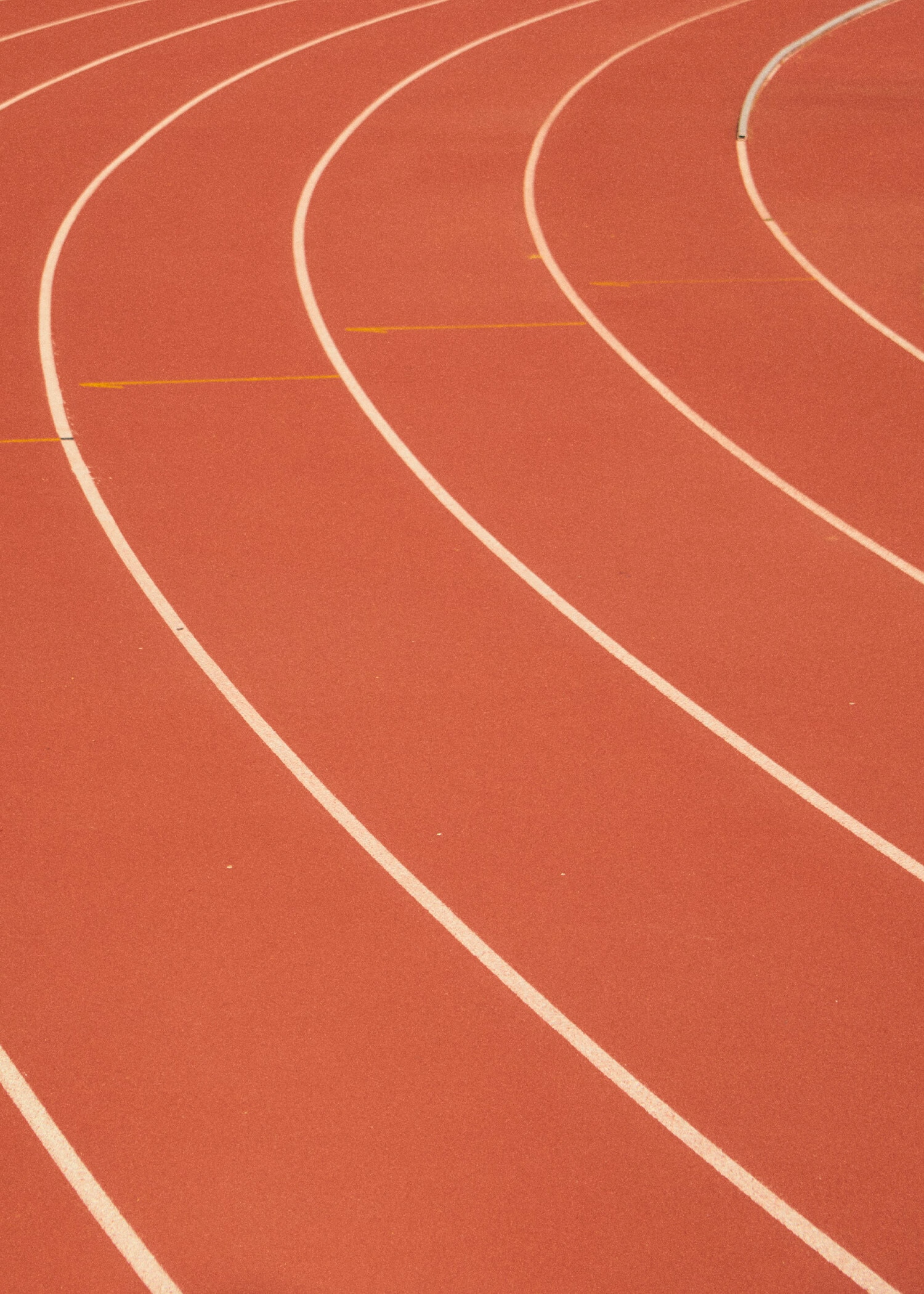 Nova Coleção Boomerang