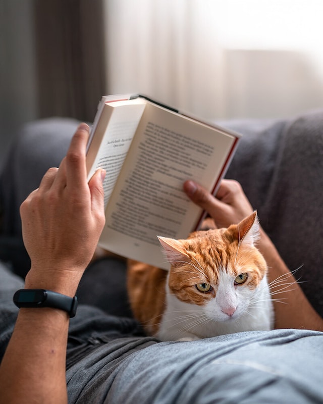 Libros