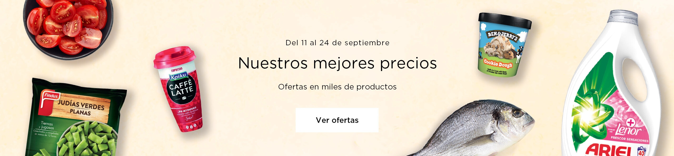 Nuestros mejores preciosV