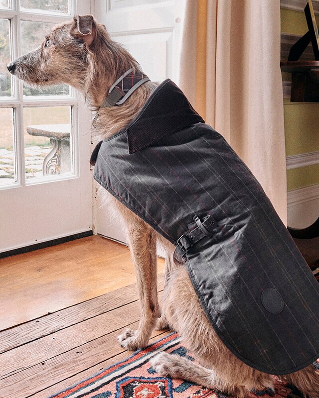 Ropa y complementos Barbour