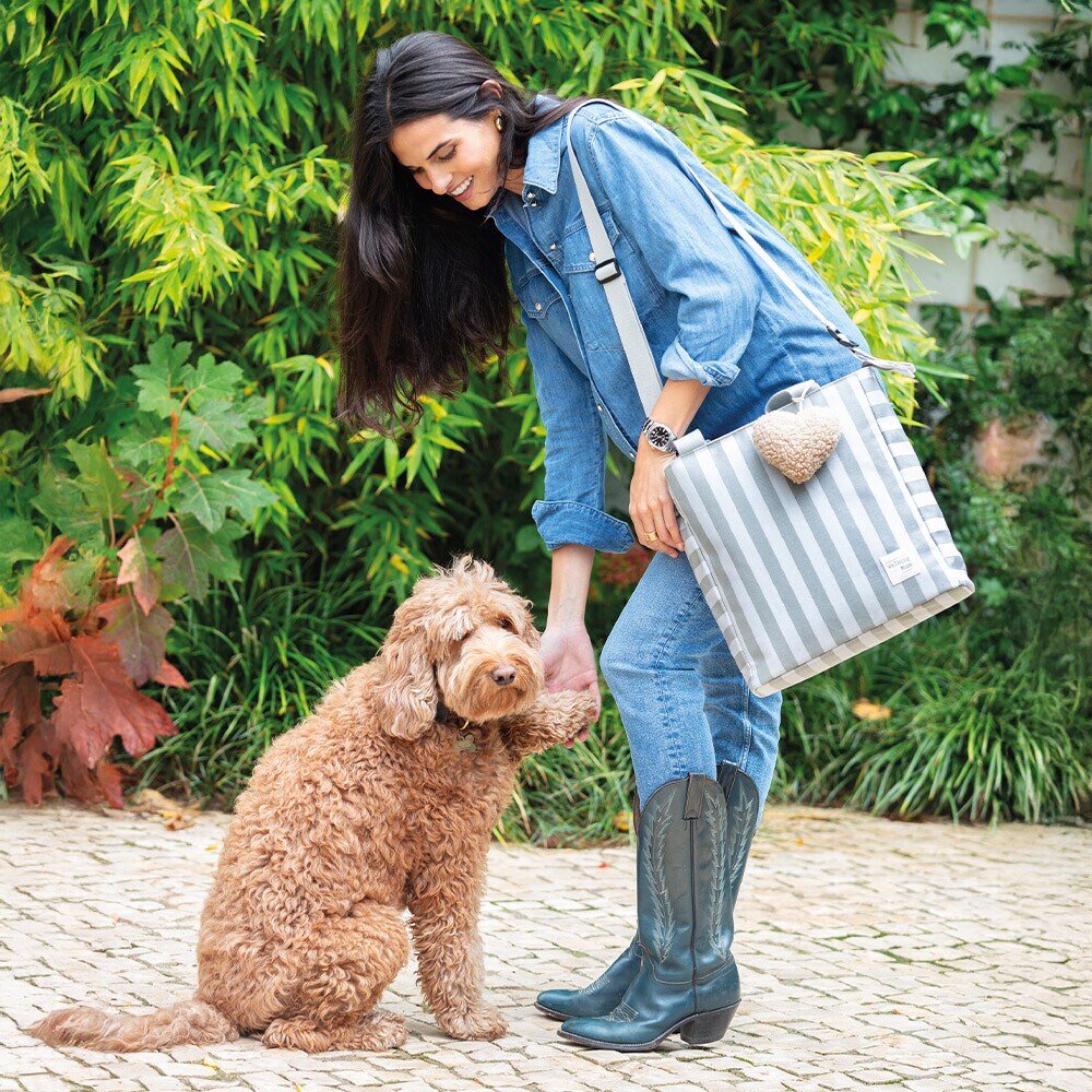 Bolsos y neceseres 