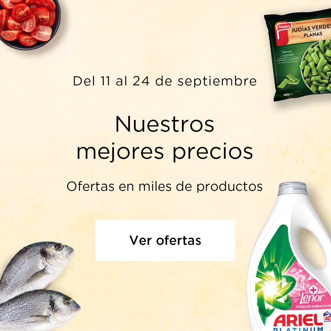 Nuestros mejores precios