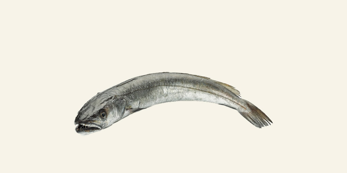 Merluza peso aproximado pieza 1-2 kg FRESCO