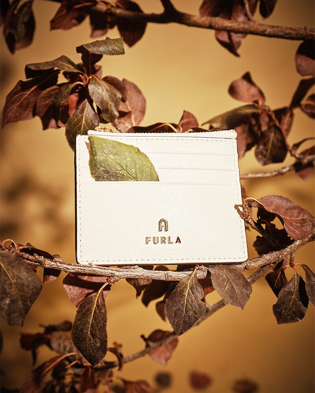 Cápsula Outono Cápsula Outono