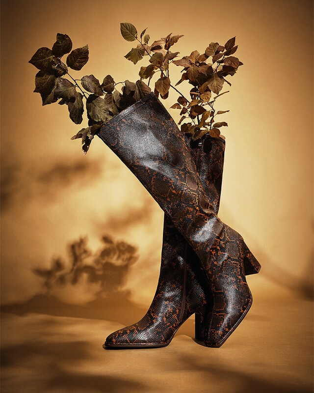 Cápsula Outono Cápsula Outono