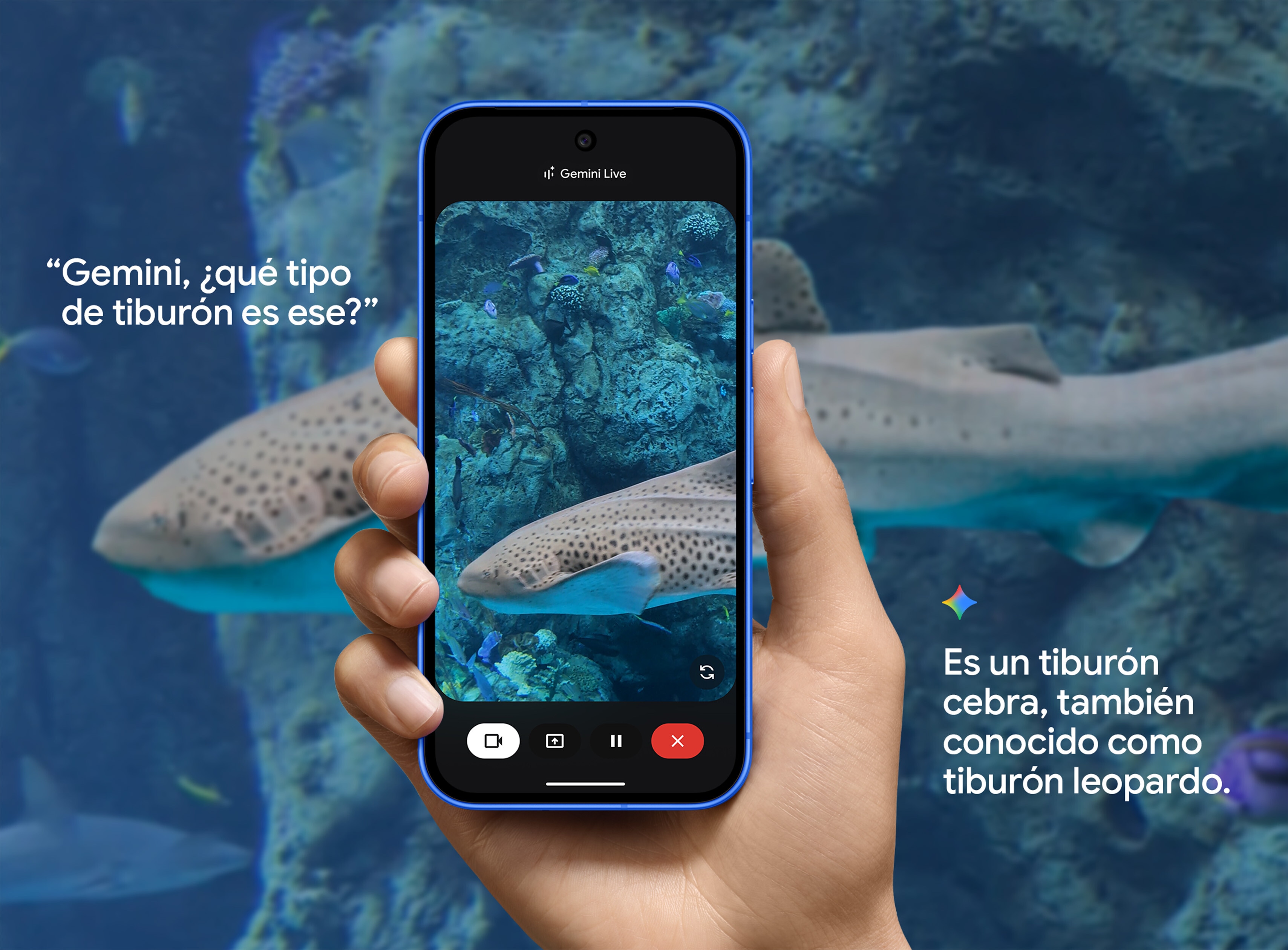 Comparte tu cámara con Gemini Live y pregúntale sobre lo que te interese.