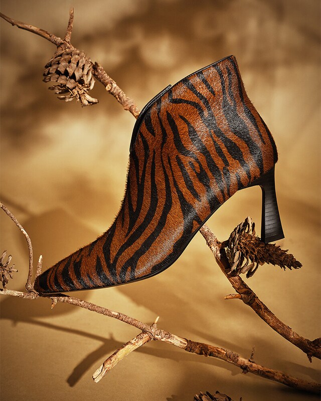 Cápsula Outono Cápsula Outono