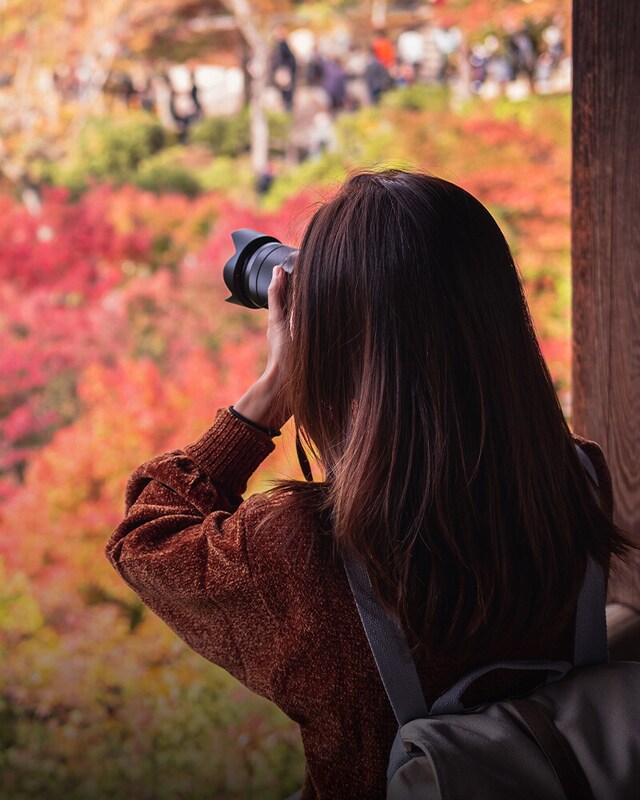 Cámaras mirrorless y objetivos
