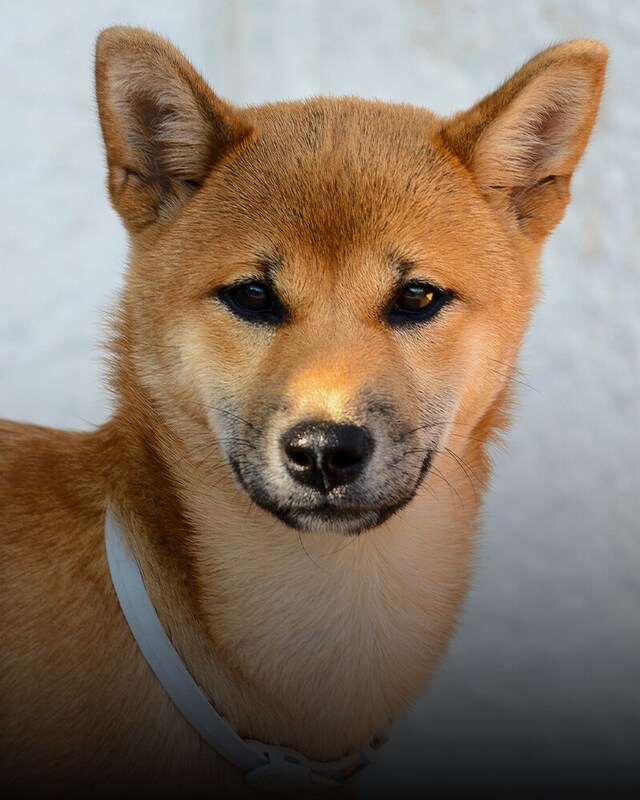 Protegido todo el día