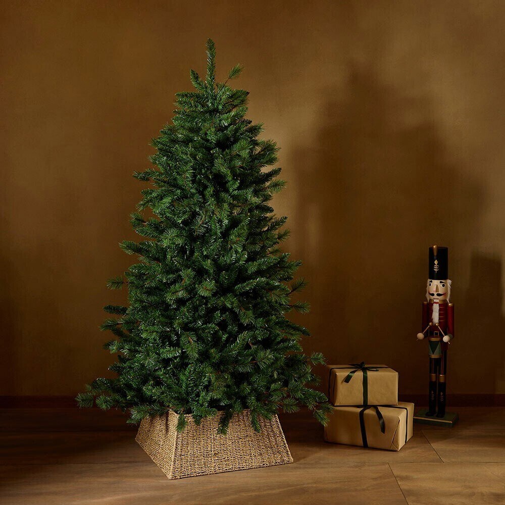 Árvores de Natal verdes