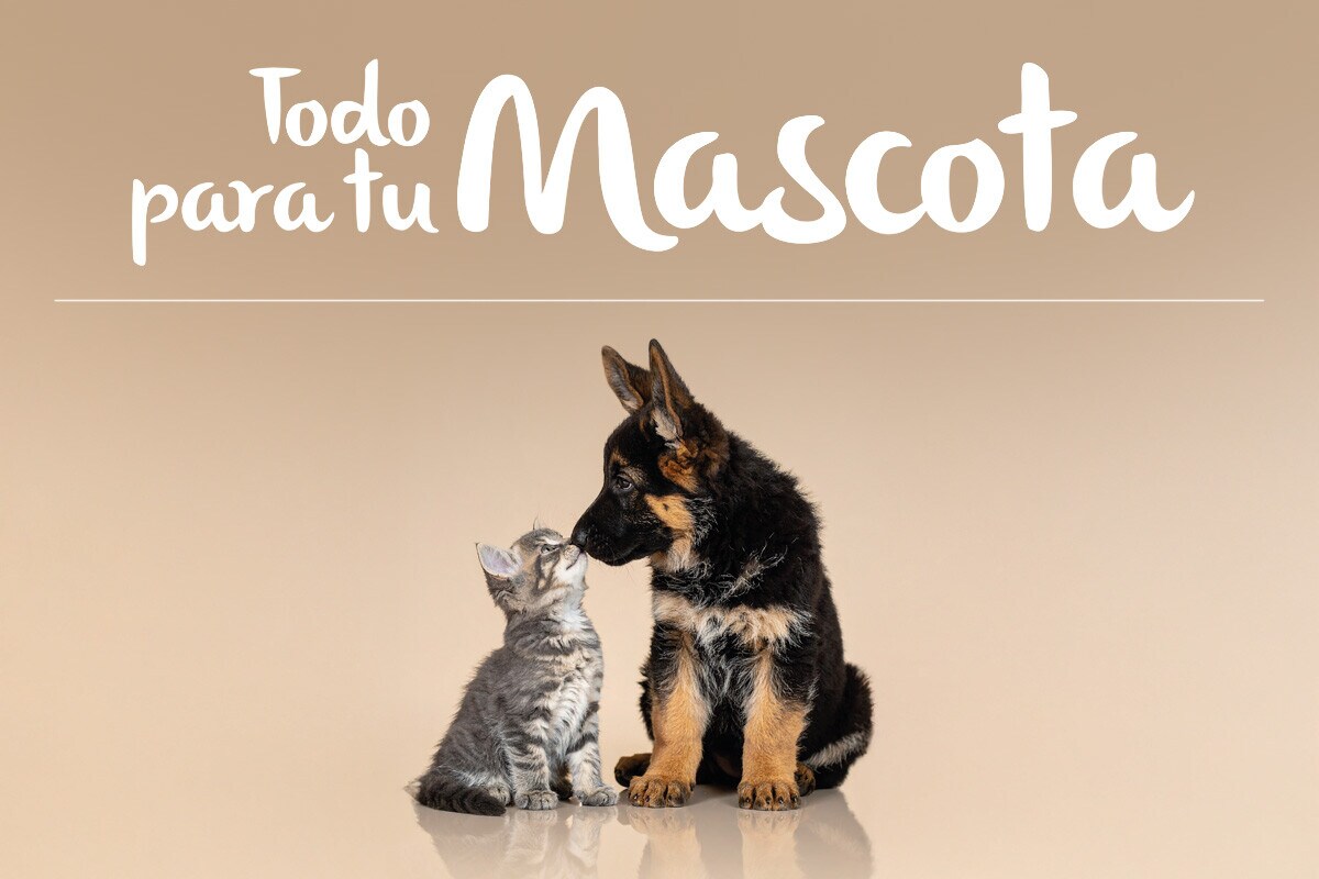 Catálogo digital de mascotas