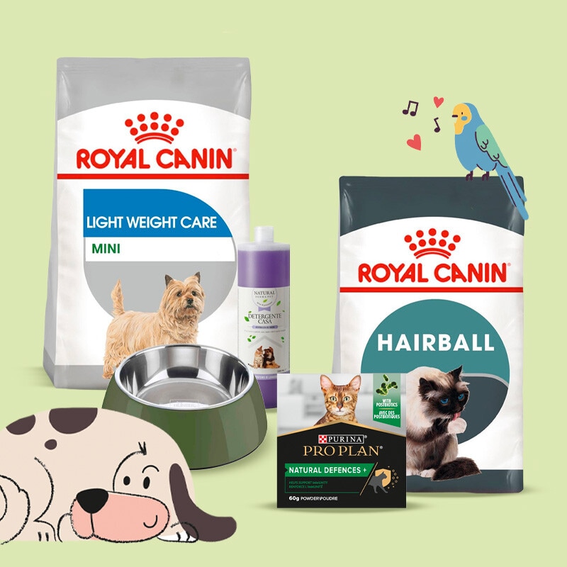 Tudo para o seu Animal de Companhia - 31 de outubro a 13 de novembro