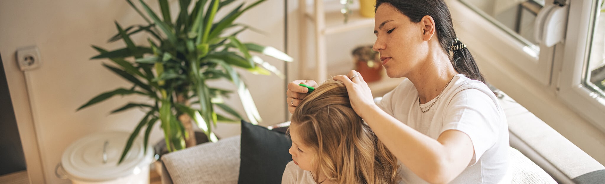 Editorial |  Como tratar dos piolhos