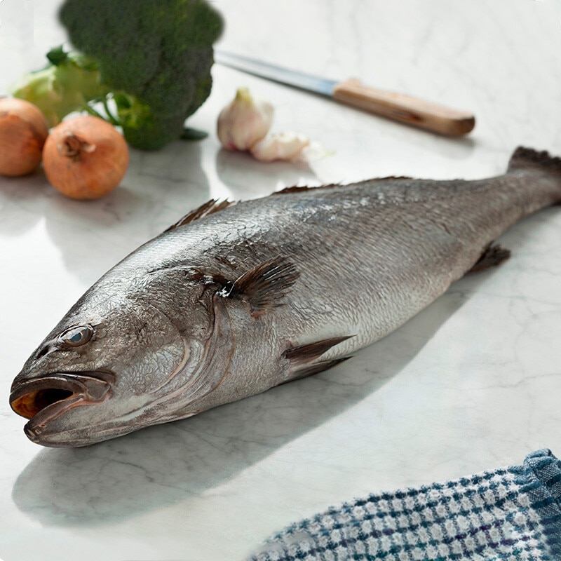 Corvina nacional ASC