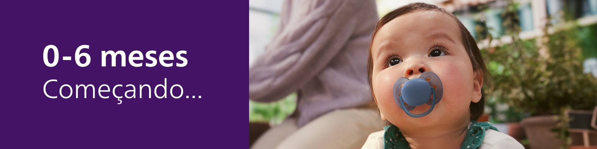  0 6 meses