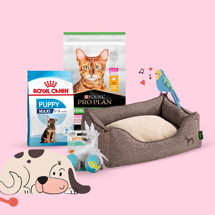 Tudo para o seu Animal de Companhia - 17 a 30 de outubro