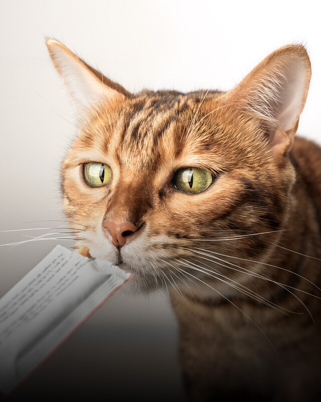 Un mimo en cada lamida