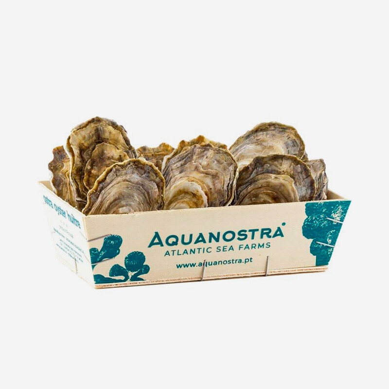 Aquanostra Ostras Portuguesas Super Especiais em Caixa de Madeira