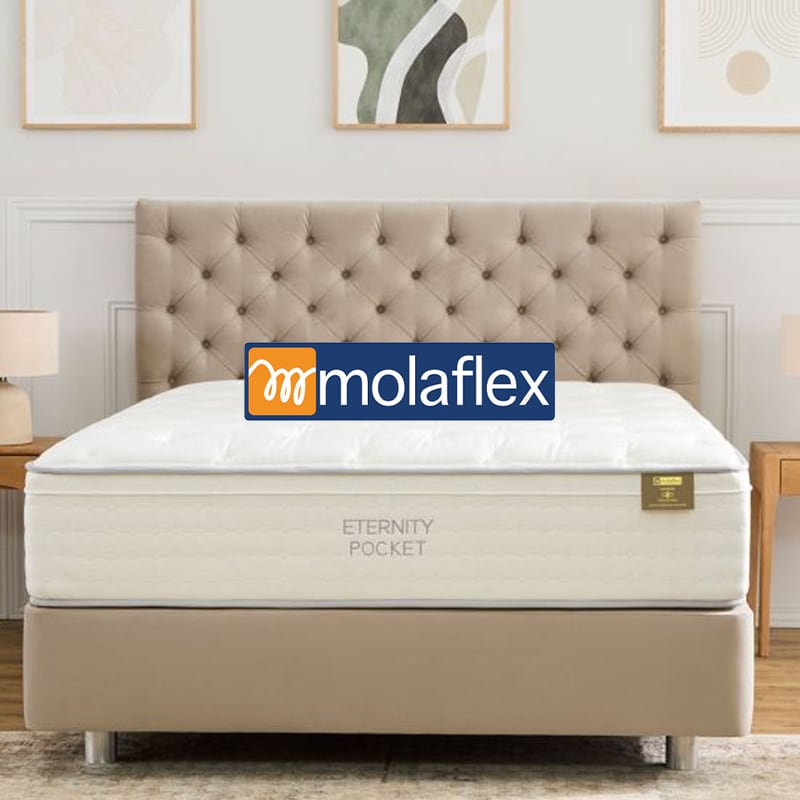 Molaflex