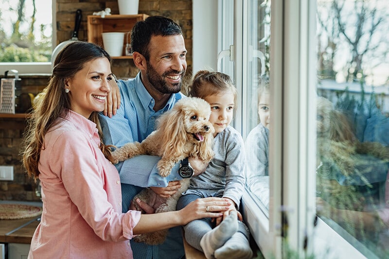 El cariño de tu mascota es extraordinario; tu protección, también
