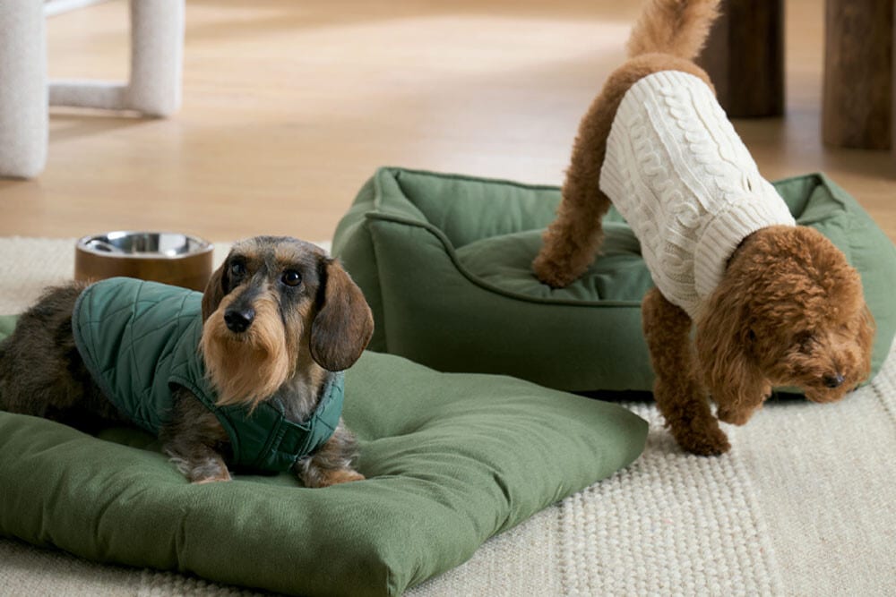 Accesorios Fred &amp; Rita