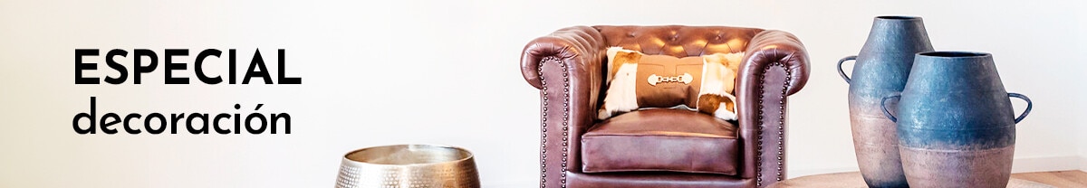 EspecialDecoración PLP