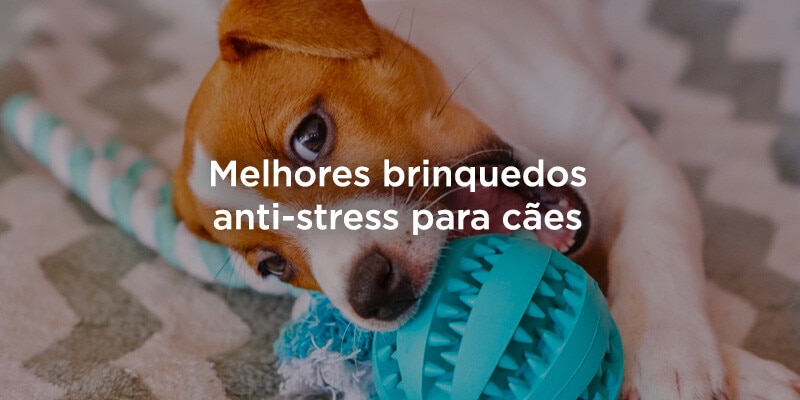 Melhores brinquedos anti-stress para cães