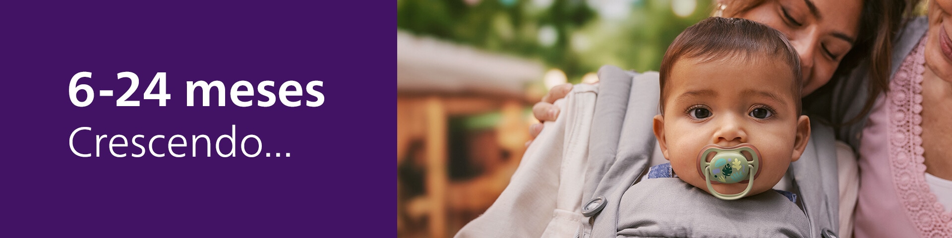 6 24 meses