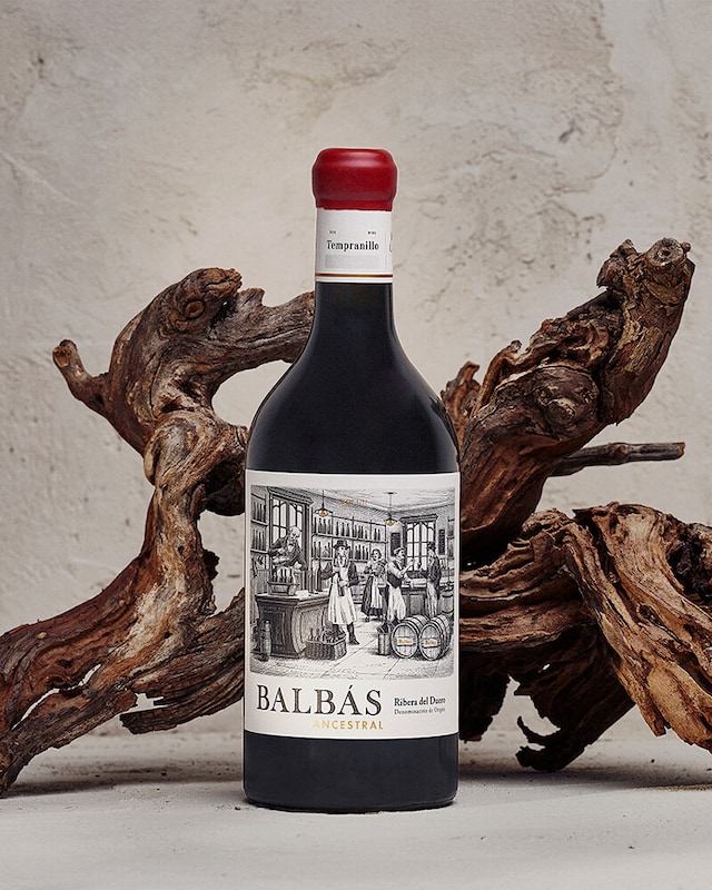 Sabor a vendimia Ribera del Duero