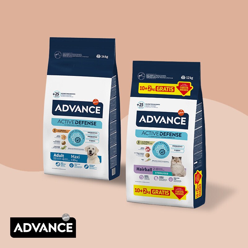 Advance Kilso gratis