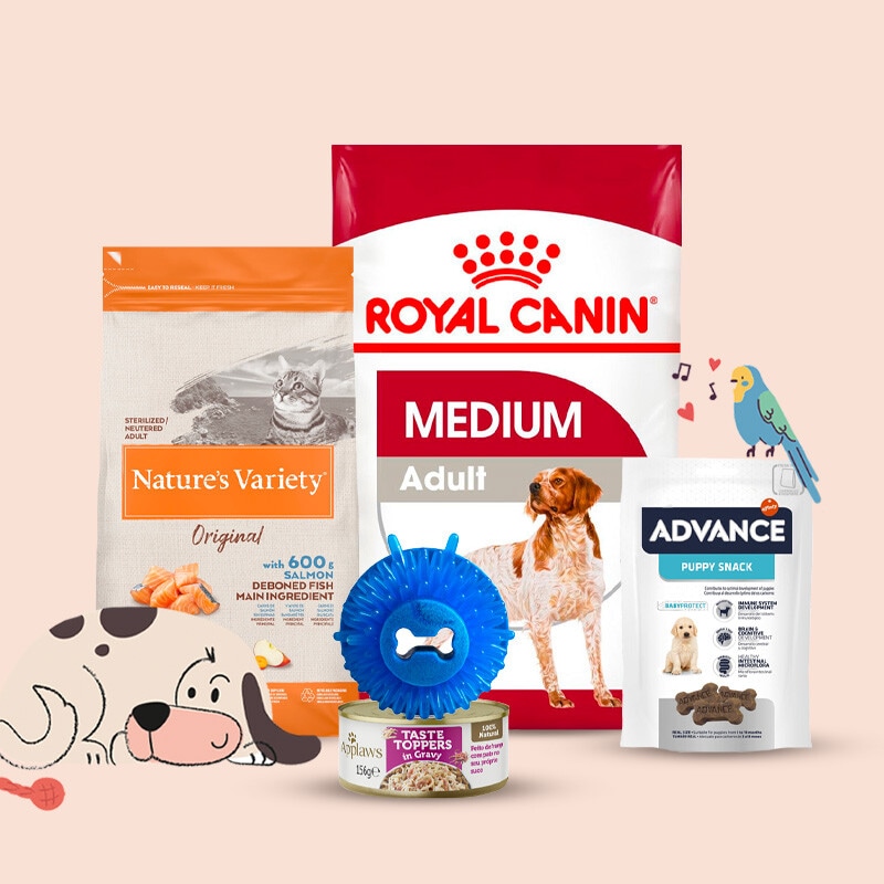 Tudo para o seu Animal de Companhia - 3 a 16 de outubro