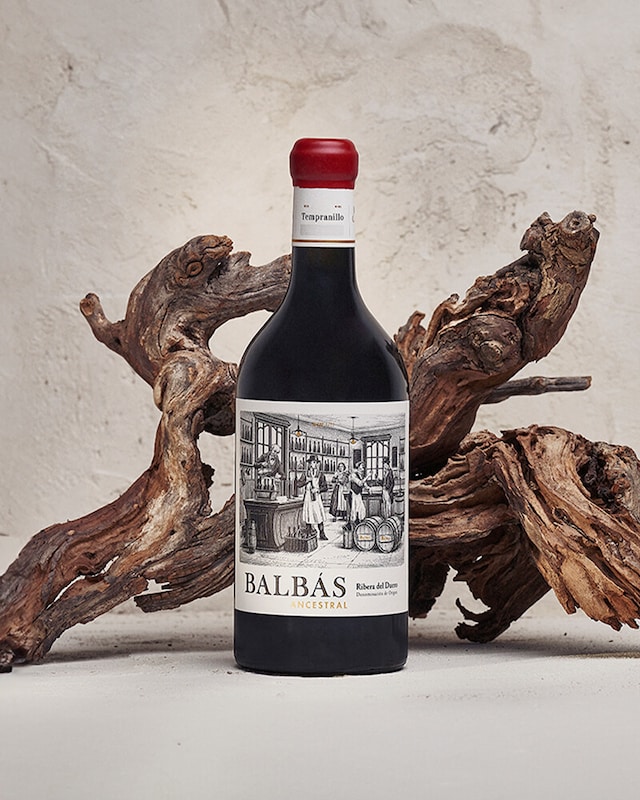 Sabor a vendimia Ribera del Duero