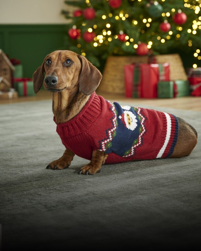 Listos para el frío y la lluvia